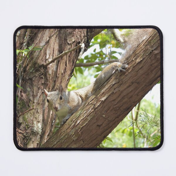 Item preview, Cute Squirrel #0063 designed and sold by Jeffrey Mask.