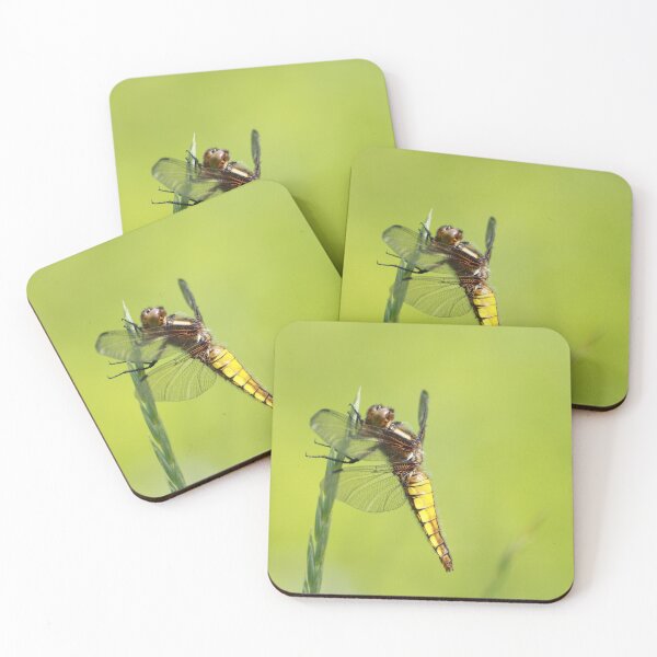 Item preview, Dragonfly designed and sold by Neil Clarke.