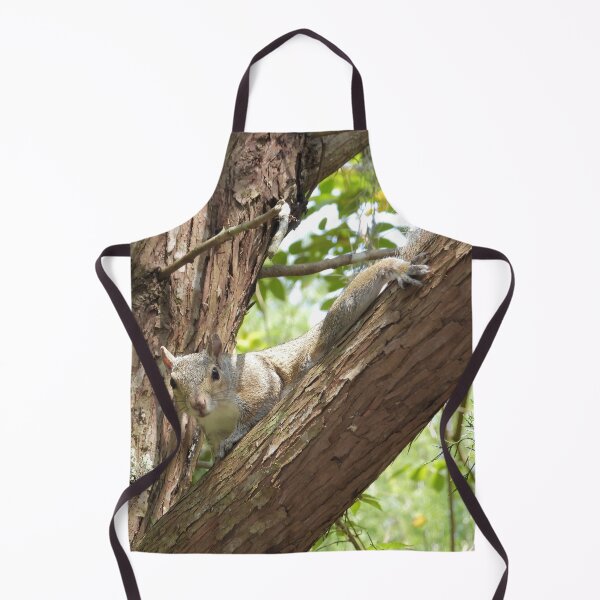 Item preview, Cute Squirrel #0063 designed and sold by Jeffrey Mask.