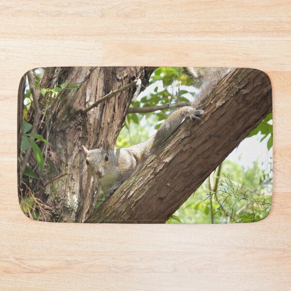 Item preview, Cute Squirrel #0063 designed and sold by Jeffrey Mask.