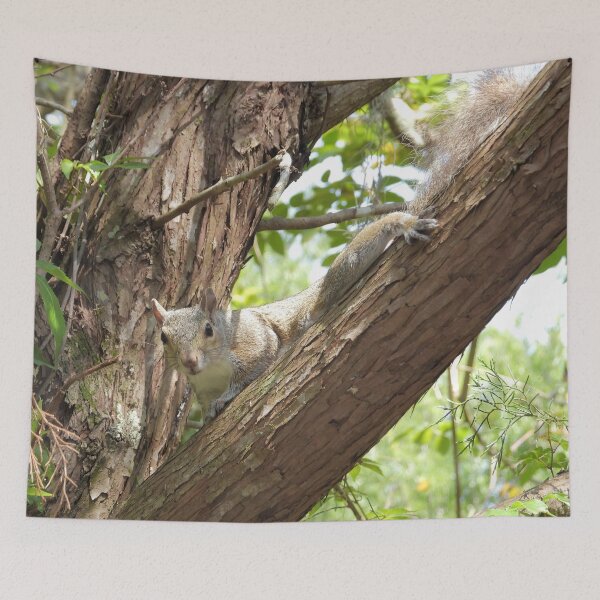Item preview, Cute Squirrel #0063 designed and sold by Jeffrey Mask.