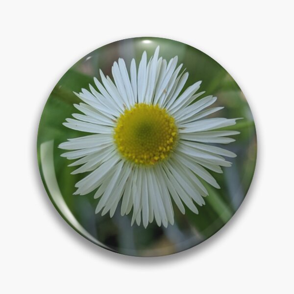 Item preview, Fleabane Daisy designed and sold by arfff.