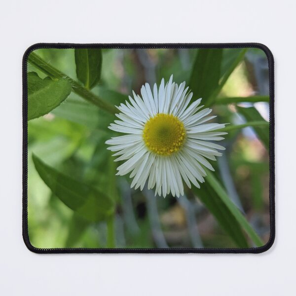 Item preview, Fleabane Daisy designed and sold by arfff.