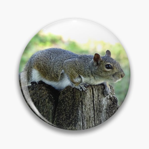 Item preview, Cute Squirrel #0064 designed and sold by Jeffrey Mask.