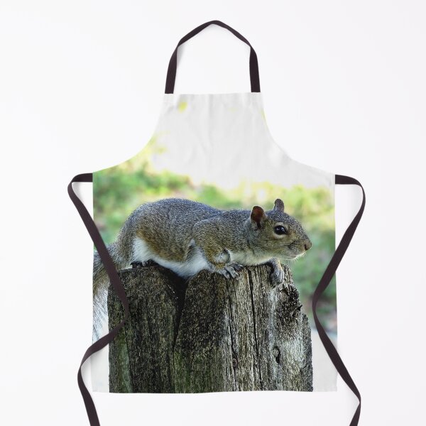 Item preview, Cute Squirrel #0064 designed and sold by Jeffrey Mask.
