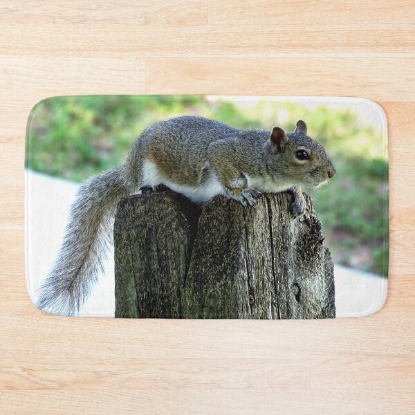 Item preview, Cute Squirrel #0064 designed and sold by Jeffrey Mask.