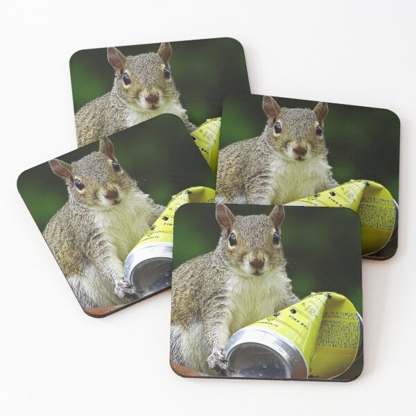 Item preview, Cute Squirrel #0065 designed and sold by Jeffrey Mask.