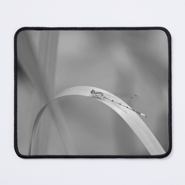 Item preview, Damselfly designed and sold by Neil Clarke.