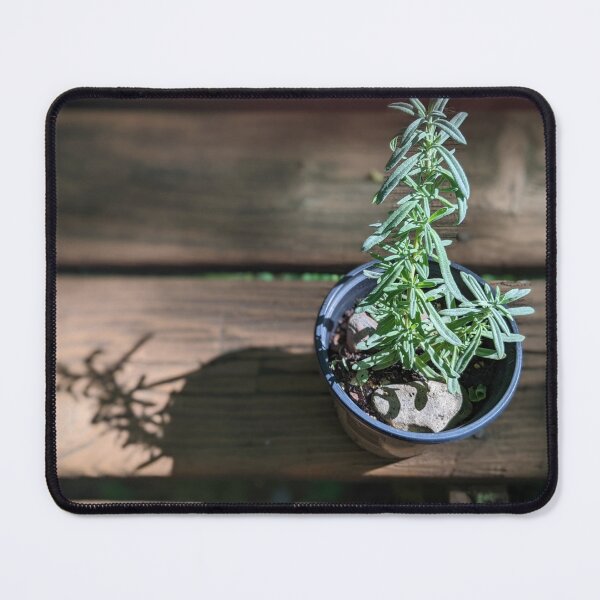 Item preview, Little Lavender Plant designed and sold by arfff.