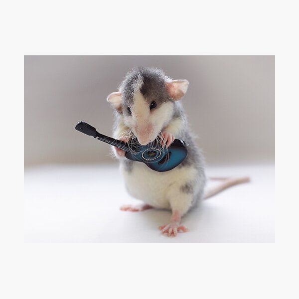 The Gitarist :) Photographic Print