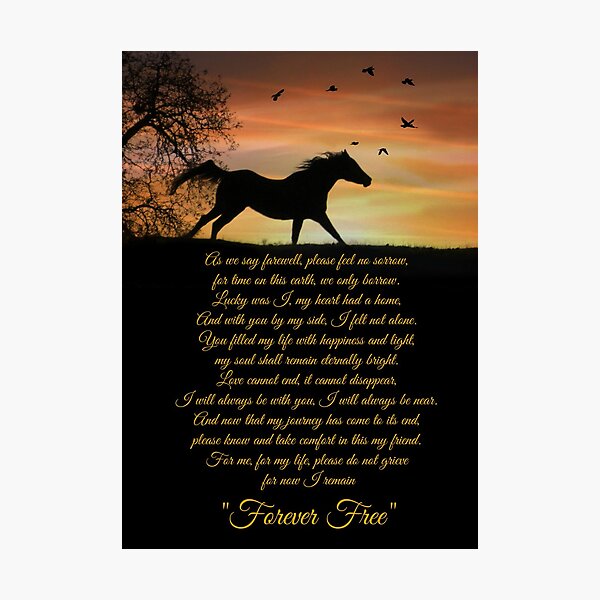 "Horse Memorial Forever Free Poem by Stephanie Laird" Photographic