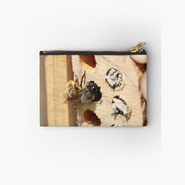 Item preview, Mason bee sealing her nest tube designed and sold by GreyFeatherPhot.