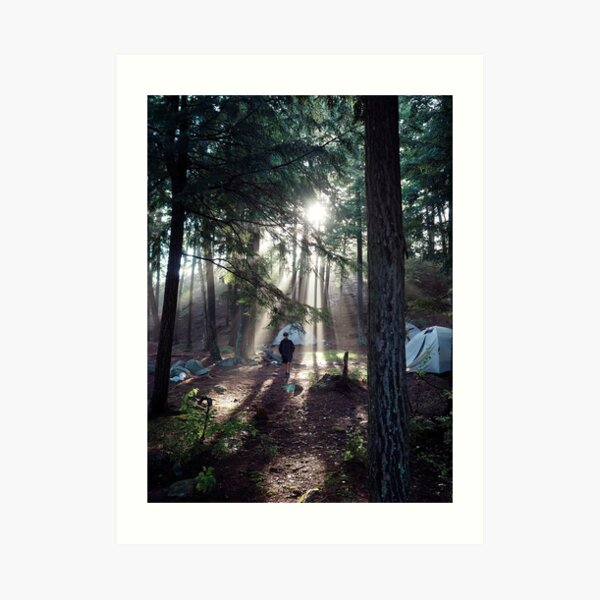 A Walk in the Woods Art Print