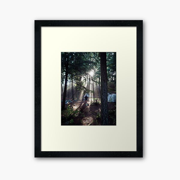 A Walk in the Woods Framed Art Print