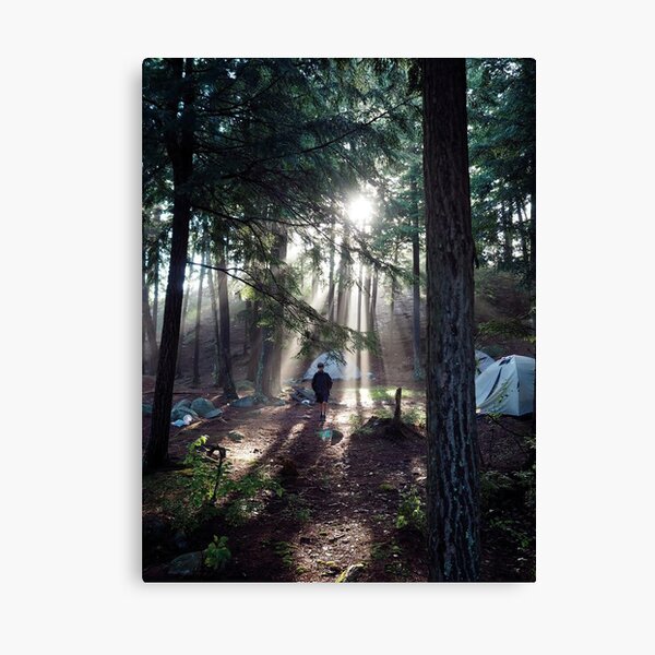 A Walk in the Woods Canvas Print