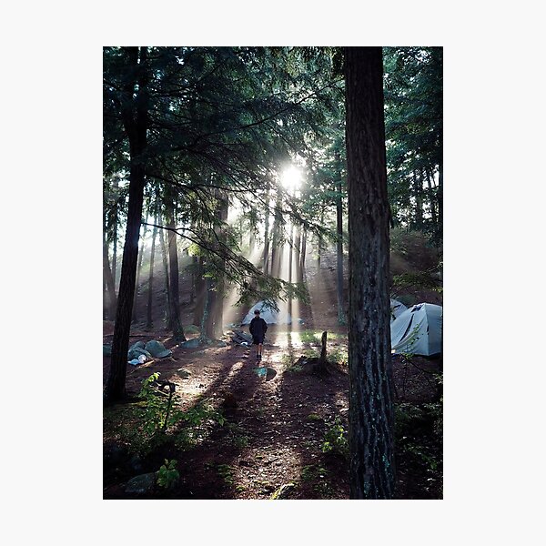 A Walk in the Woods Photographic Print