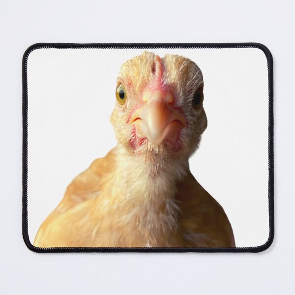 Item preview, Mustard the Chicken designed and sold by metalsmithmomma.