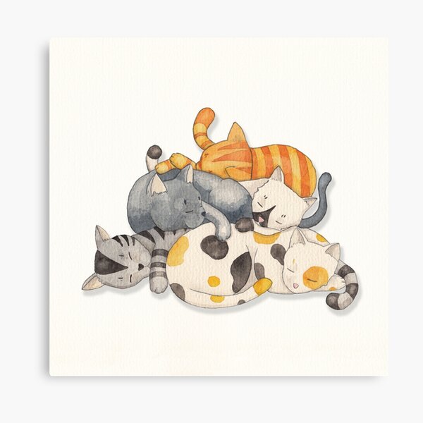 Cat Nap (Siesta Time) Canvas Print