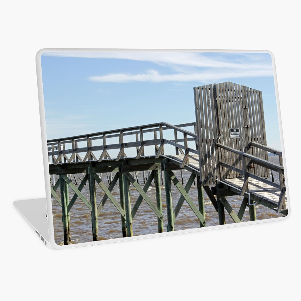 Item preview, Laptop Skin designed and sold by bertsworks300.