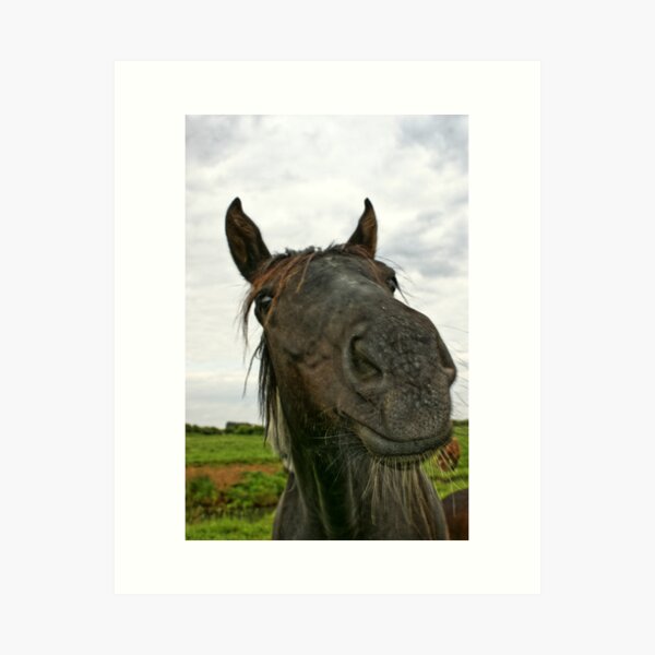 Item preview, From the Horses Mouth designed and sold by Cult45one.