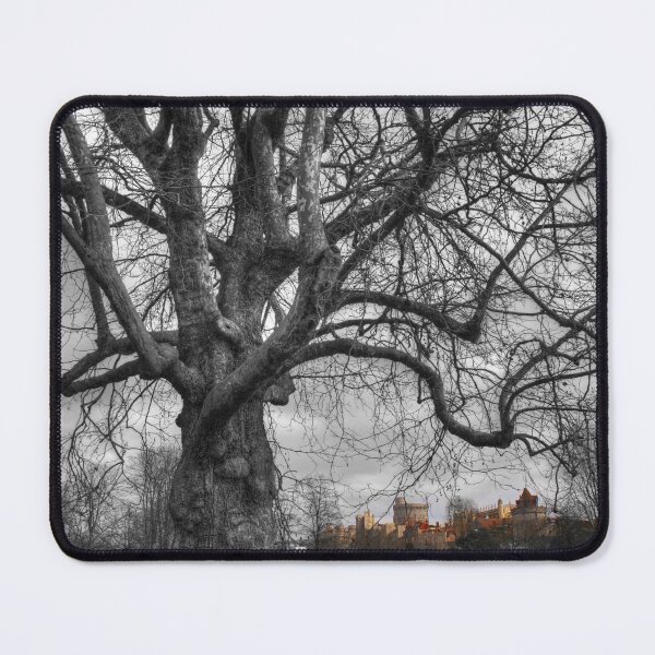 Item preview, Wild Old Tree designed and sold by days-photographic.