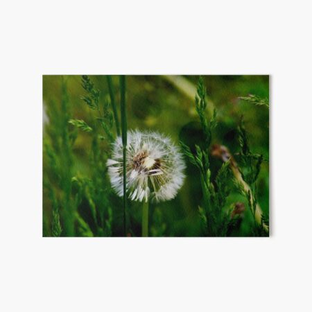 To Wish Upon Art Board Print