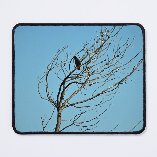 Item preview, Bird in a Tree designed and sold by bertsworks300.