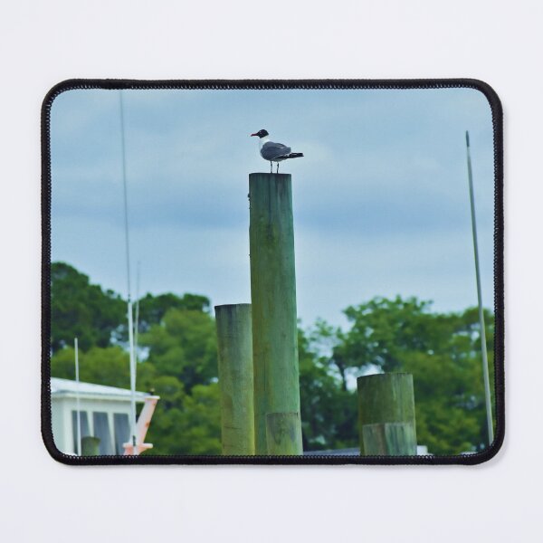 Item preview, Bird on a Post designed and sold by bertsworks300.