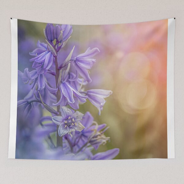 Item preview, Spring Light designed and sold by RichardSayer.