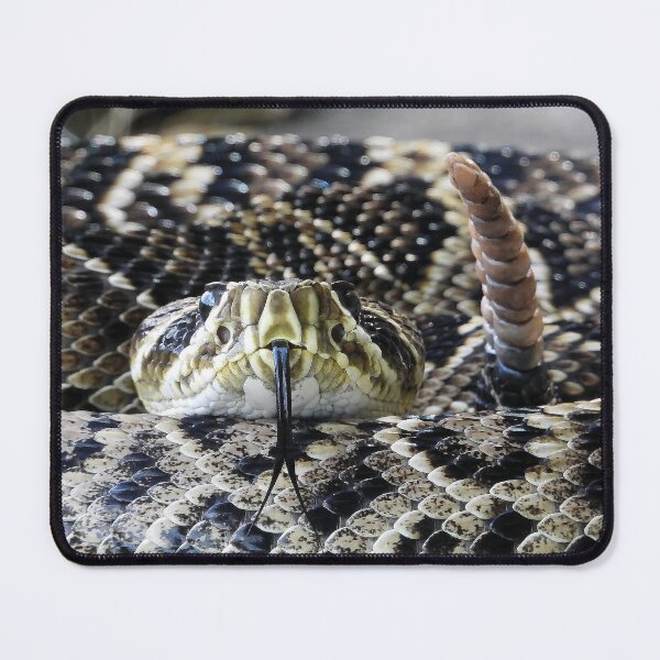 Item preview, Eastern Diamondback Rattlesnake #001 designed and sold by Jeffrey Mask.