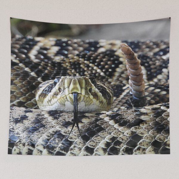 Item preview, Eastern Diamondback Rattlesnake #001 designed and sold by Jeffrey Mask.