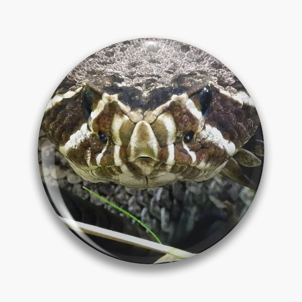 Item preview, Eastern Diamondback Rattlesnake #002 designed and sold by Jeffrey Mask.