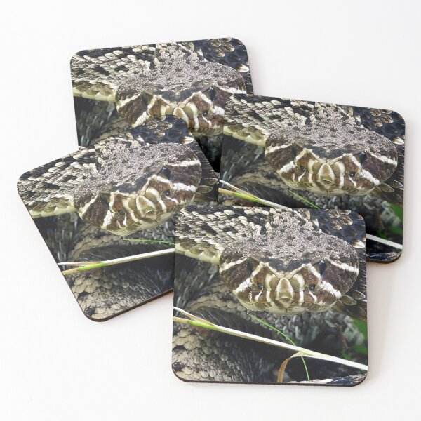 Item preview, Eastern Diamondback Rattlesnake #002 designed and sold by Jeffrey Mask.