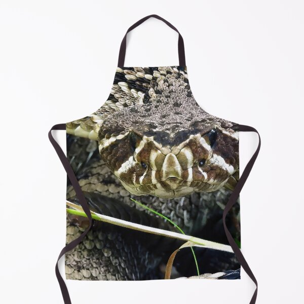 Item preview, Eastern Diamondback Rattlesnake #002 designed and sold by Jeffrey Mask.