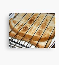 Behind bars Canvas Print
