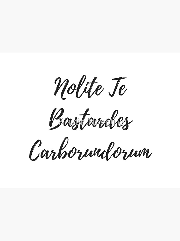 Handmaids Tale Don't Let The Bastards Grind You Down Nolite Te Bastardes Carborundorum Wall Art Home Decor Printed or Digital