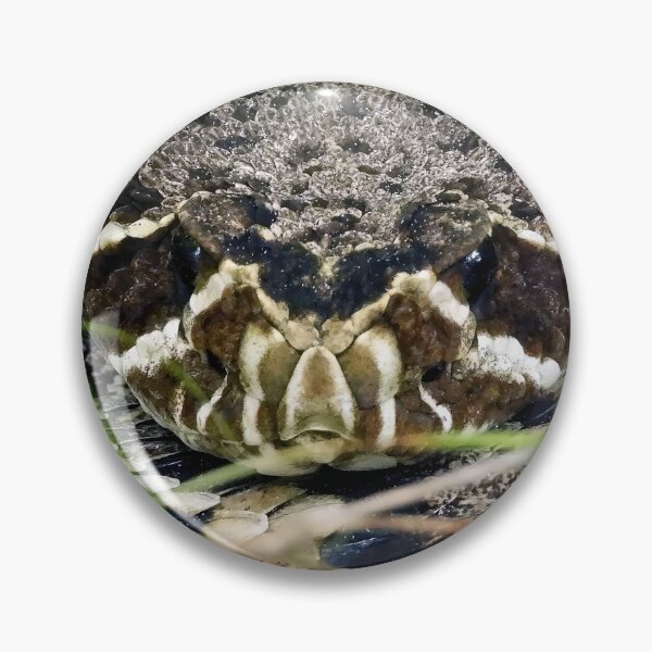 Item preview, Eastern Diamondback Rattlesnake #003 designed and sold by Jeffrey Mask.