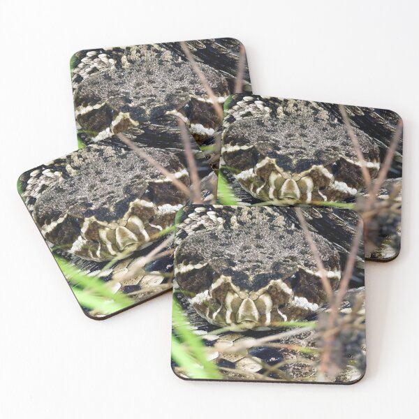 Item preview, Eastern Diamondback Rattlesnake #003 designed and sold by Jeffrey Mask.