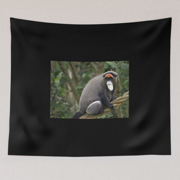 Item preview, De Brazzas Monkey designed and sold by RawImageArt.