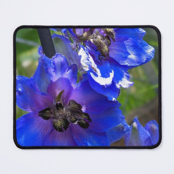 Item preview, Pacific Giant Delphinium  designed and sold by arfff.