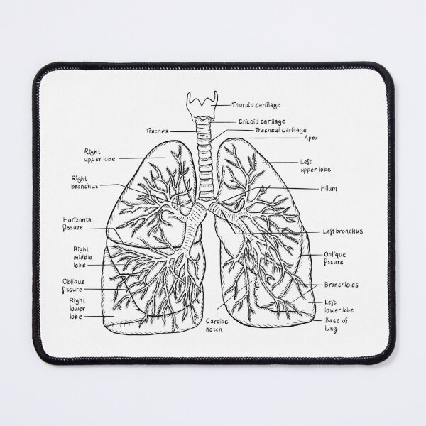 Item preview, Lungs designed and sold by JudePeters.