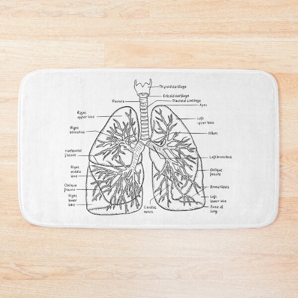 Item preview, Lungs designed and sold by JudePeters.