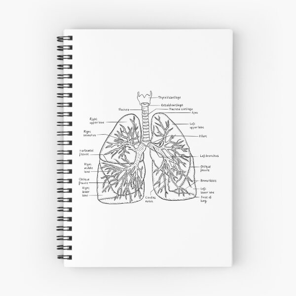 Item preview, Lungs designed and sold by JudePeters.
