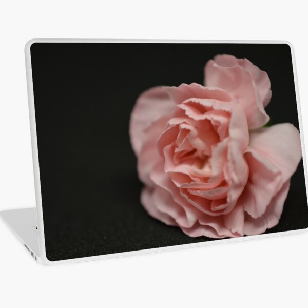Pink Carnation Laptop Skin