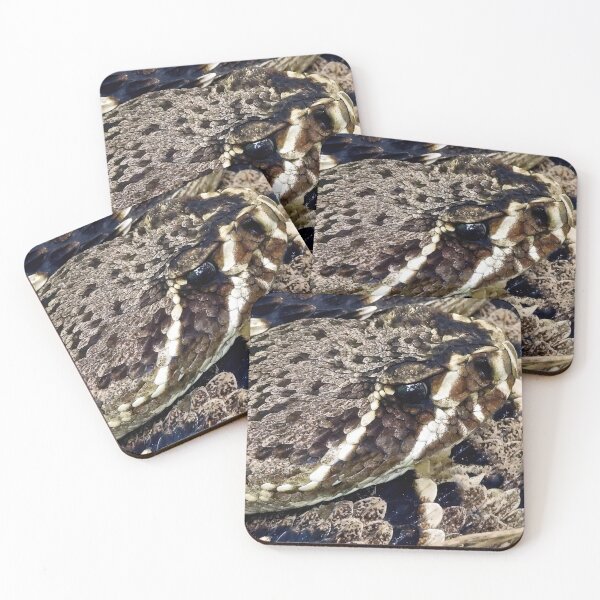 Item preview, Eastern Diamondback Rattlesnake #004 designed and sold by Jeffrey Mask.