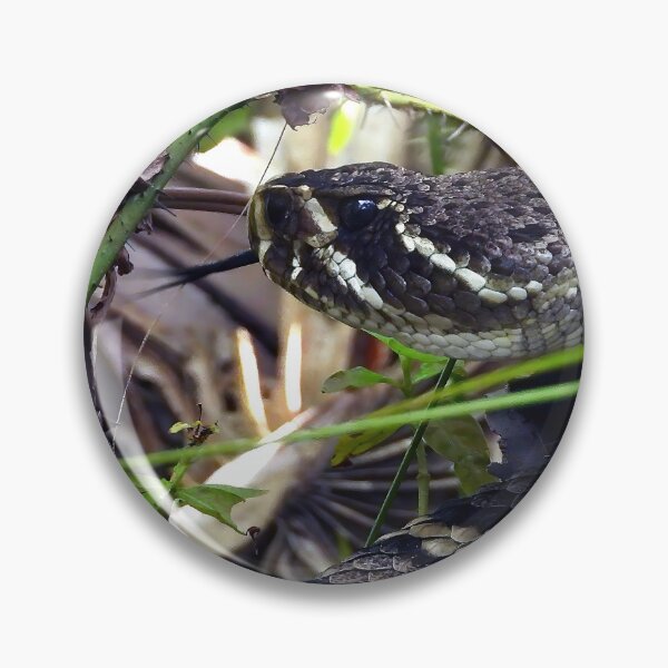 Item preview, Eastern Diamondback Rattlesnake #005 designed and sold by Jeffrey Mask.