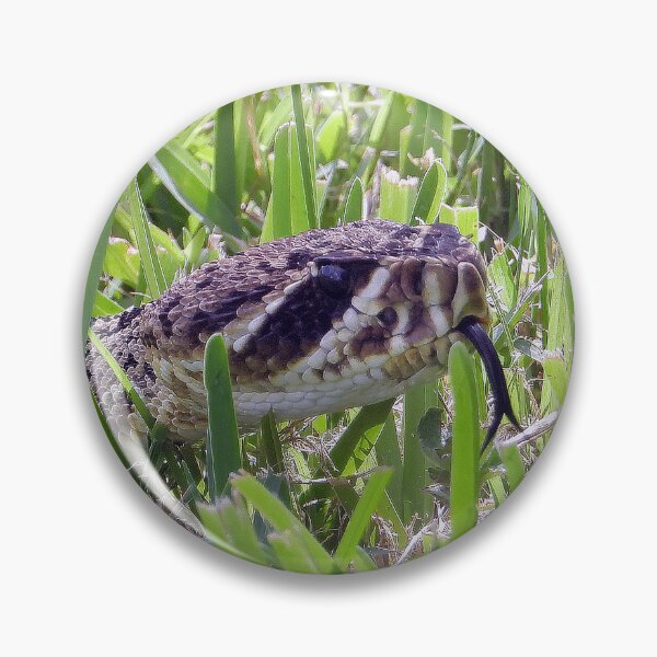Item preview, Eastern Diamondback Rattlesnake #006 designed and sold by Jeffrey Mask.