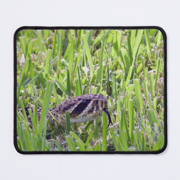 Item preview, Eastern Diamondback Rattlesnake #006 designed and sold by Jeffrey Mask.