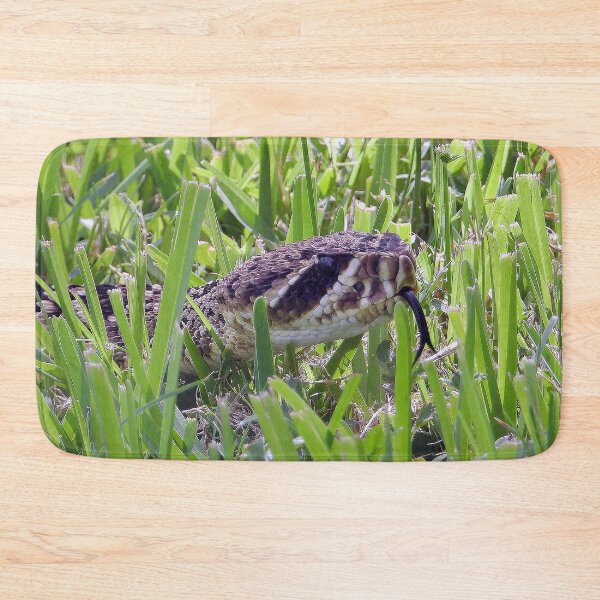 Item preview, Eastern Diamondback Rattlesnake #006 designed and sold by Jeffrey Mask.