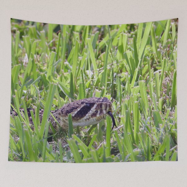Item preview, Eastern Diamondback Rattlesnake #006 designed and sold by Jeffrey Mask.